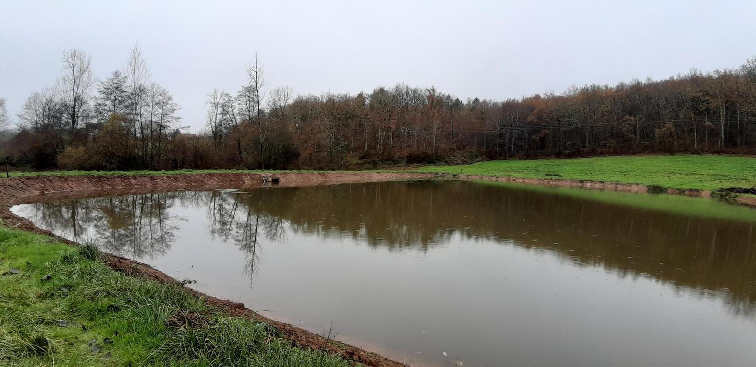 Domaine De La Moretie Cublac Kültér fotó